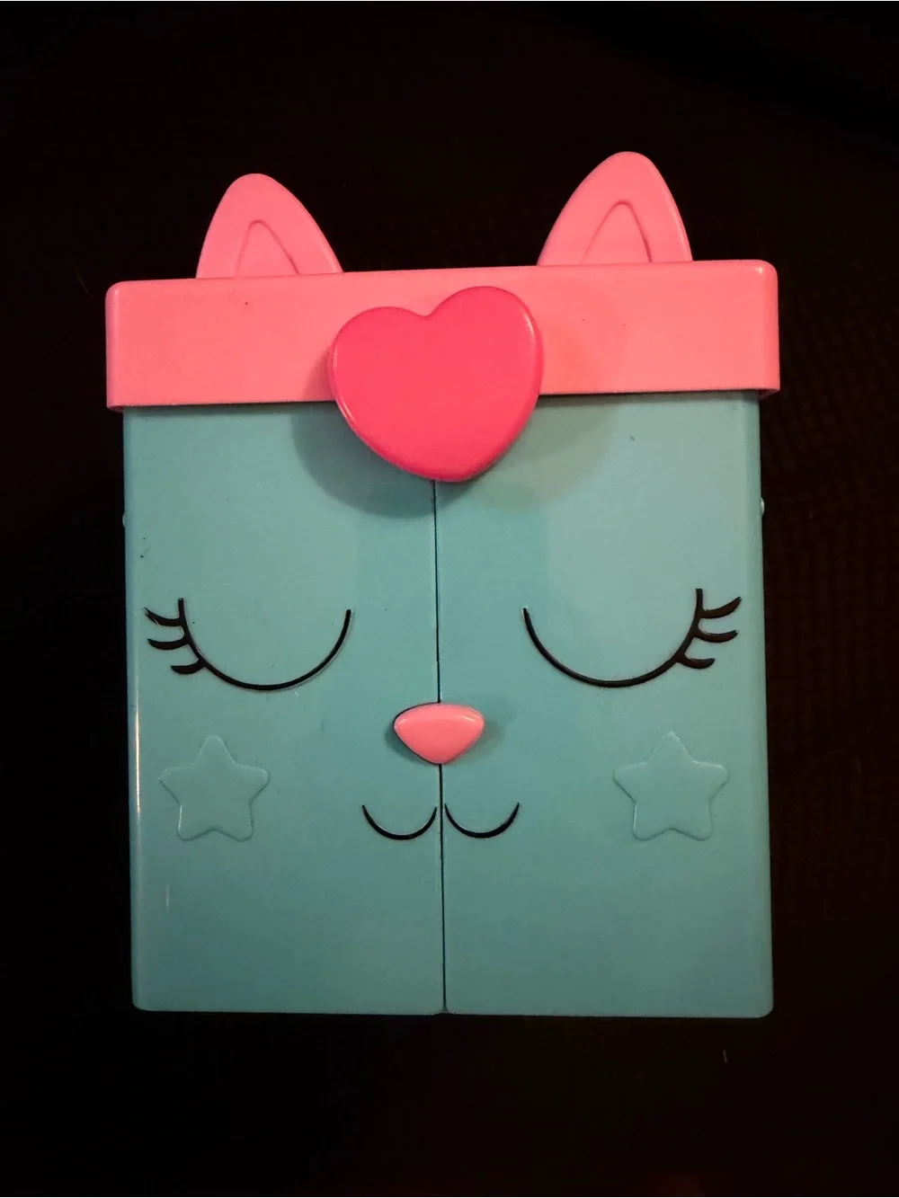Kids Cat-Themed Jewelry Case in Teal & Pink